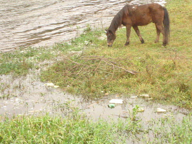 DSC01277