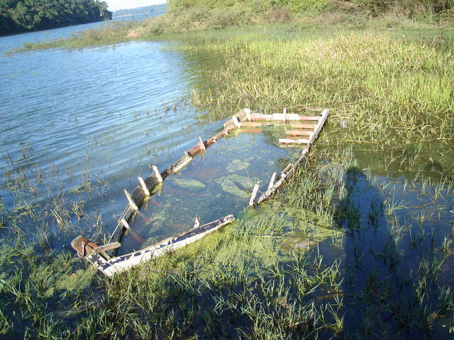 Abandono