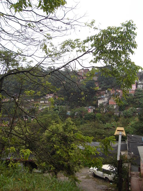 Paisagem modificada