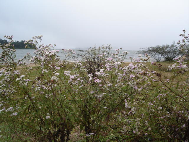 DSC01856