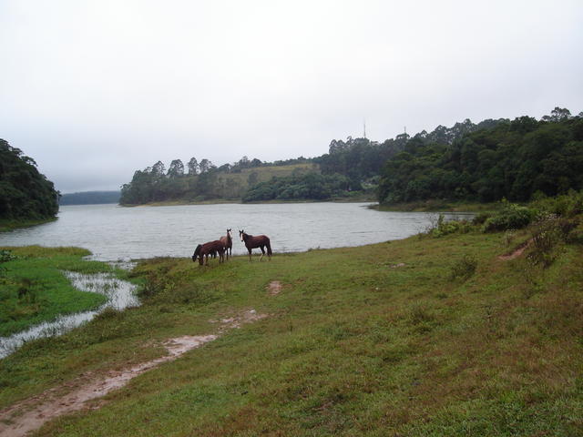 DSC01890