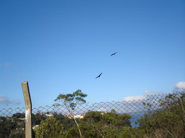 DSC02040