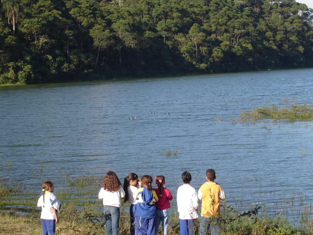 DSC02003