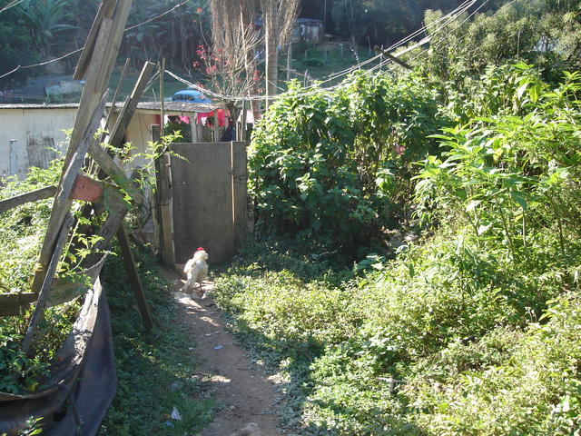 DSC02001