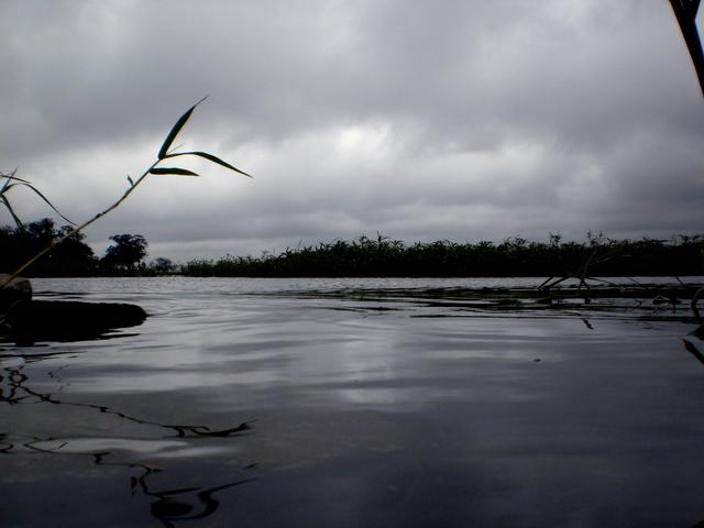 Reflexo
