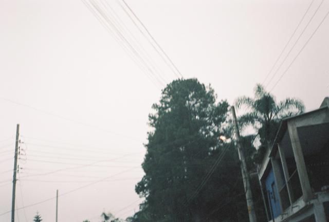 000013