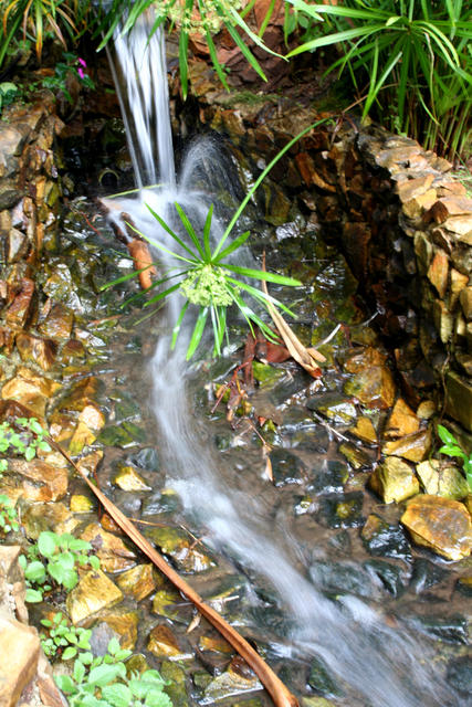 agua_branca_02