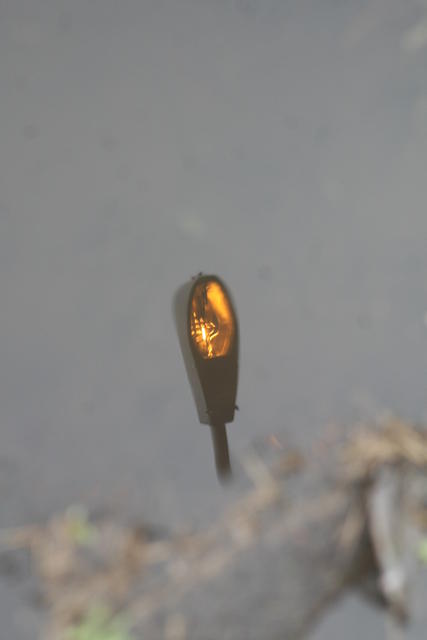 Vargem Grande - São Paulo, SP
