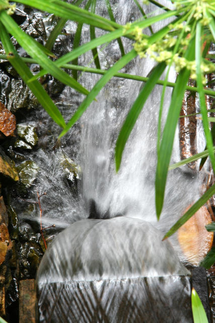 agua_branca_01