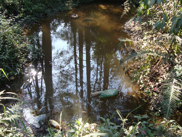 Nascente Poluida