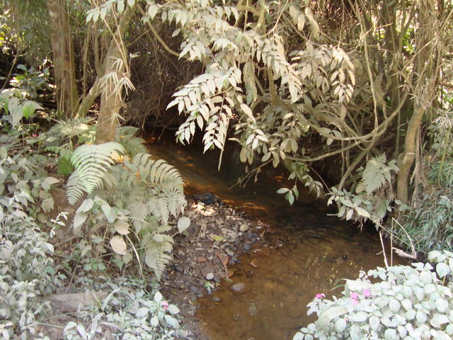 Nascente Linda mas com agua Poluida!!!!!!