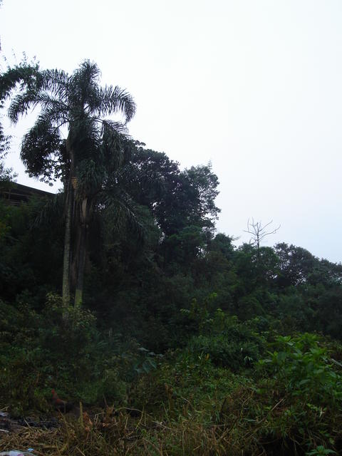 DSC01805