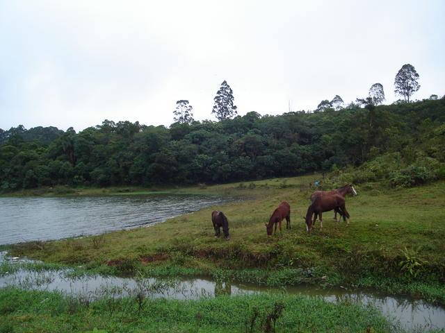 DSC01894