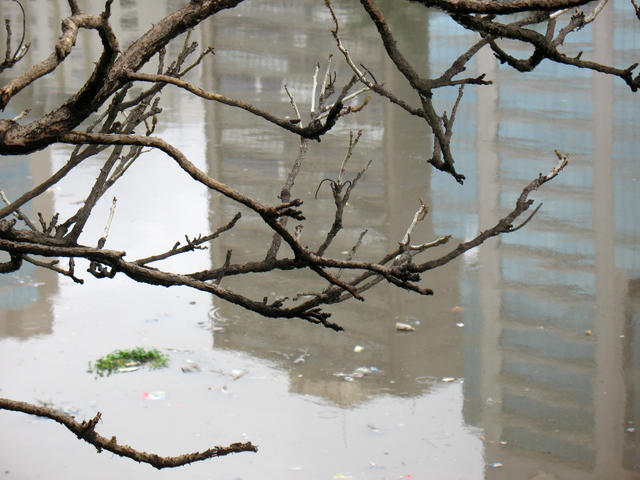 Rio Pinheiros 1