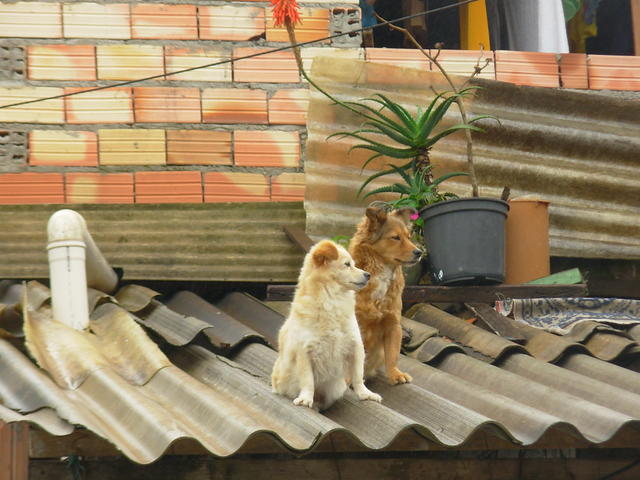 Observando o movimento.