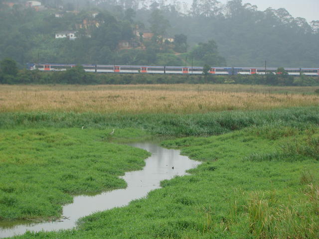 DSC00992