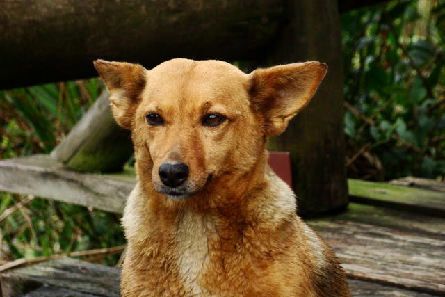 DSC00686