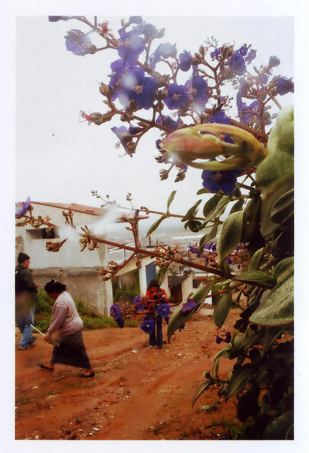 fotodu04