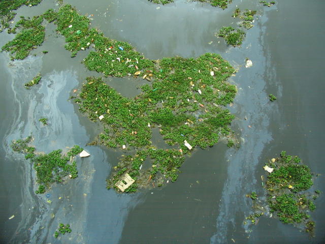 Rio Pinheiros. Águas "limpas".