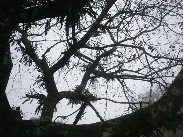 Mananciais 055