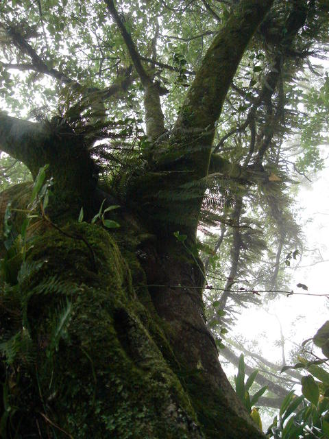 Mananciais 042