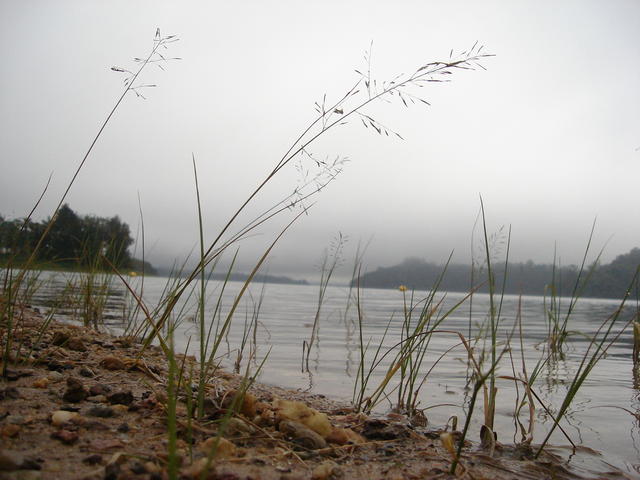 Mananciais 129