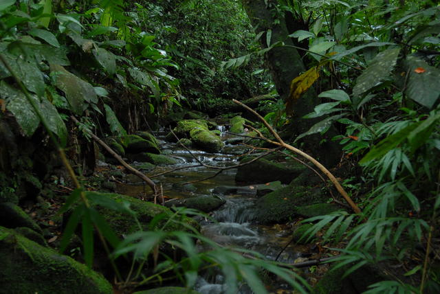 Riacho de águas limpas