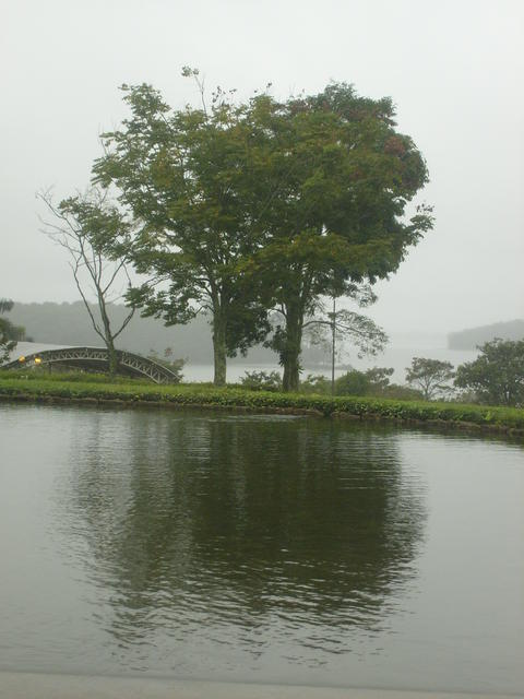 S6300489.JPG