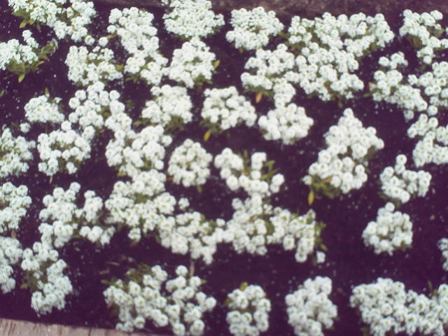 PICT0102