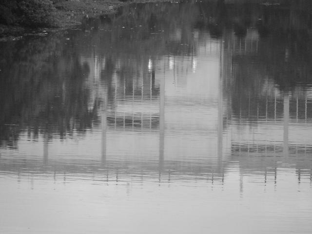 reflexos