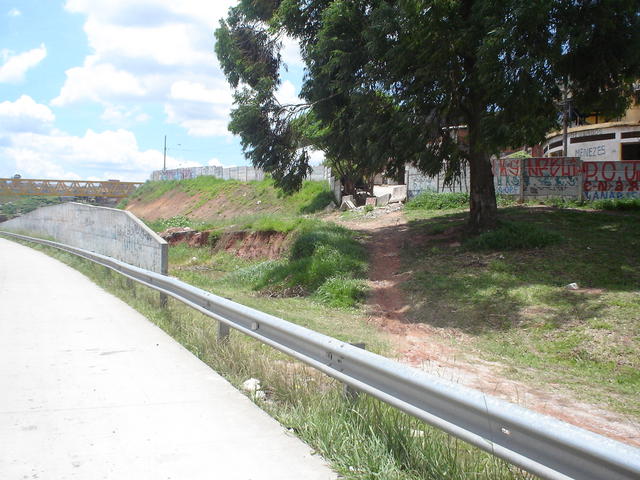 DSC00564.JPG