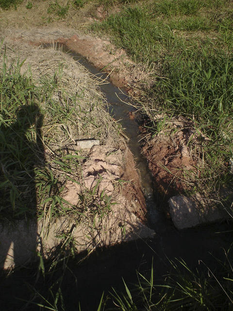 DSC01587.jpg