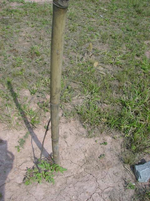 DSC02404.JPG