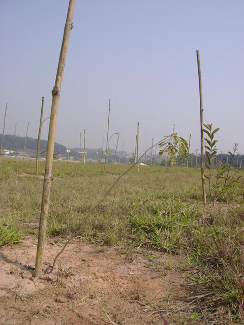 DSC02405.jpg