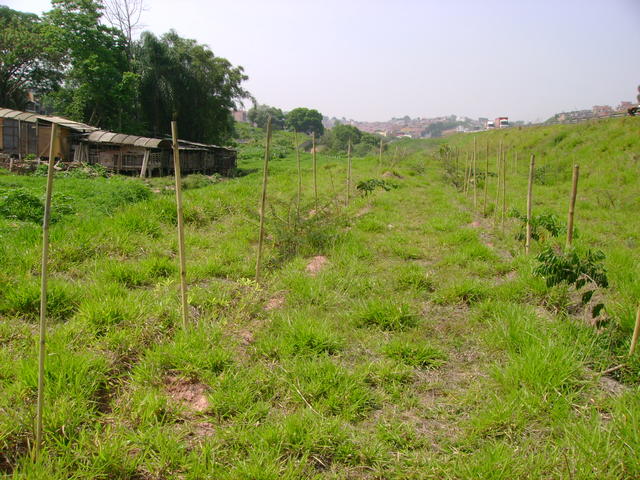DSC02427.JPG