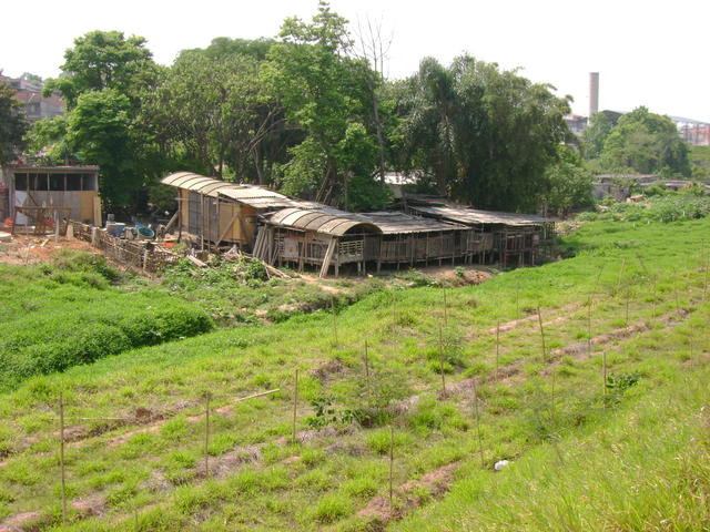 DSC02430.JPG