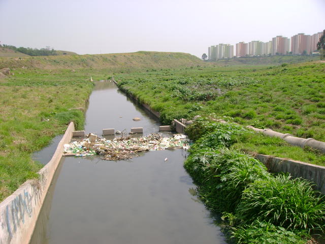 DSC02431.JPG