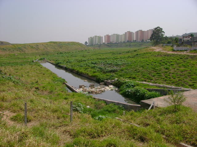 DSC02435.JPG