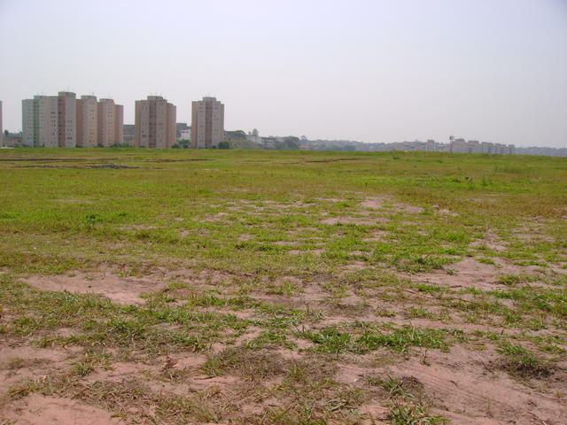 DSC02439.JPG