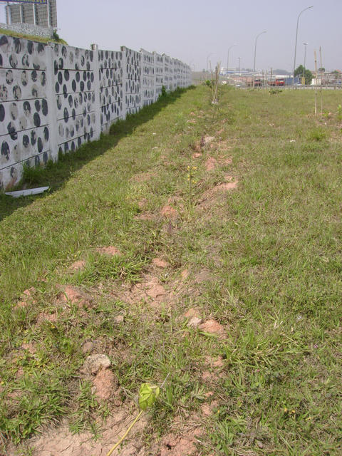DSC02450.jpg