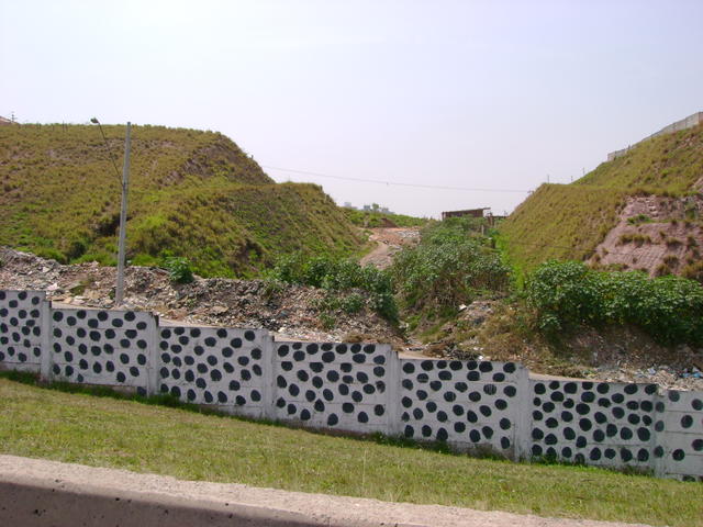 DSC02451.JPG