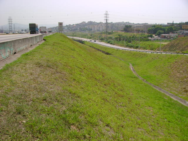 DSC02453.JPG