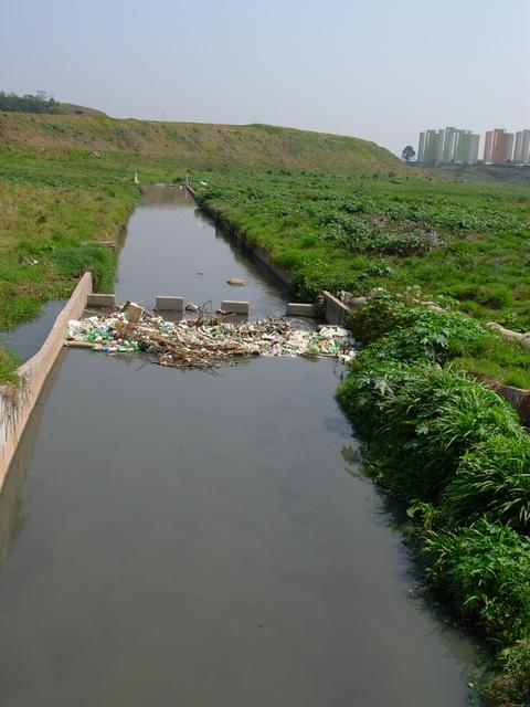 DSCN2412.JPG