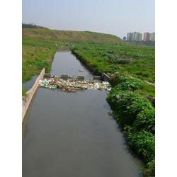 DSCN2412.JPG