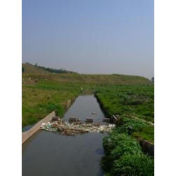 DSCN2413.JPG