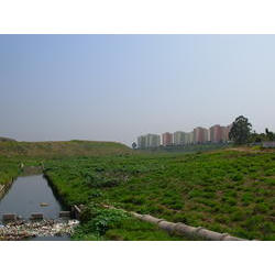 DSCN2414.JPG