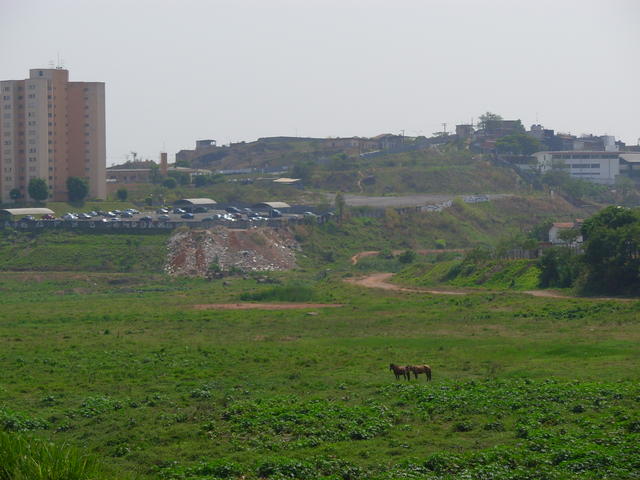 DSCN2416.JPG