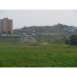 DSCN2416.JPG