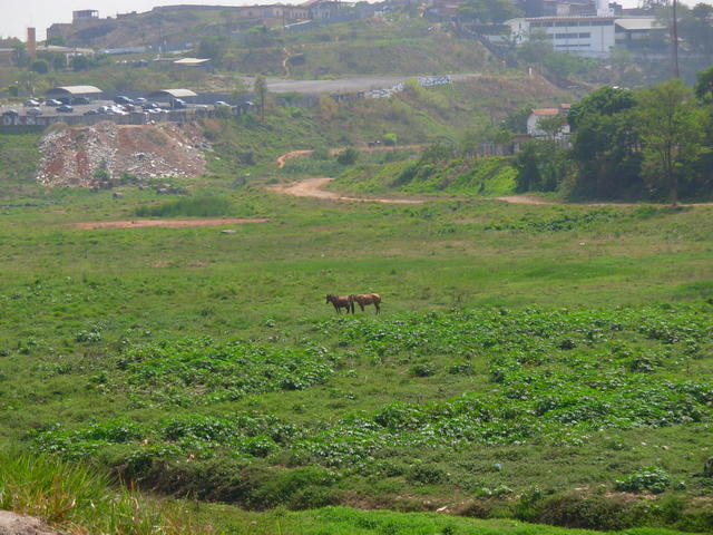DSCN2418.JPG