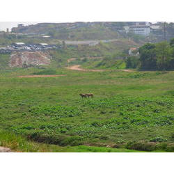 DSCN2418.JPG